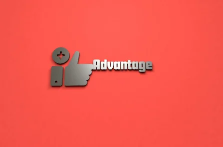 THE ADVANTAGE TO CHOOSE US